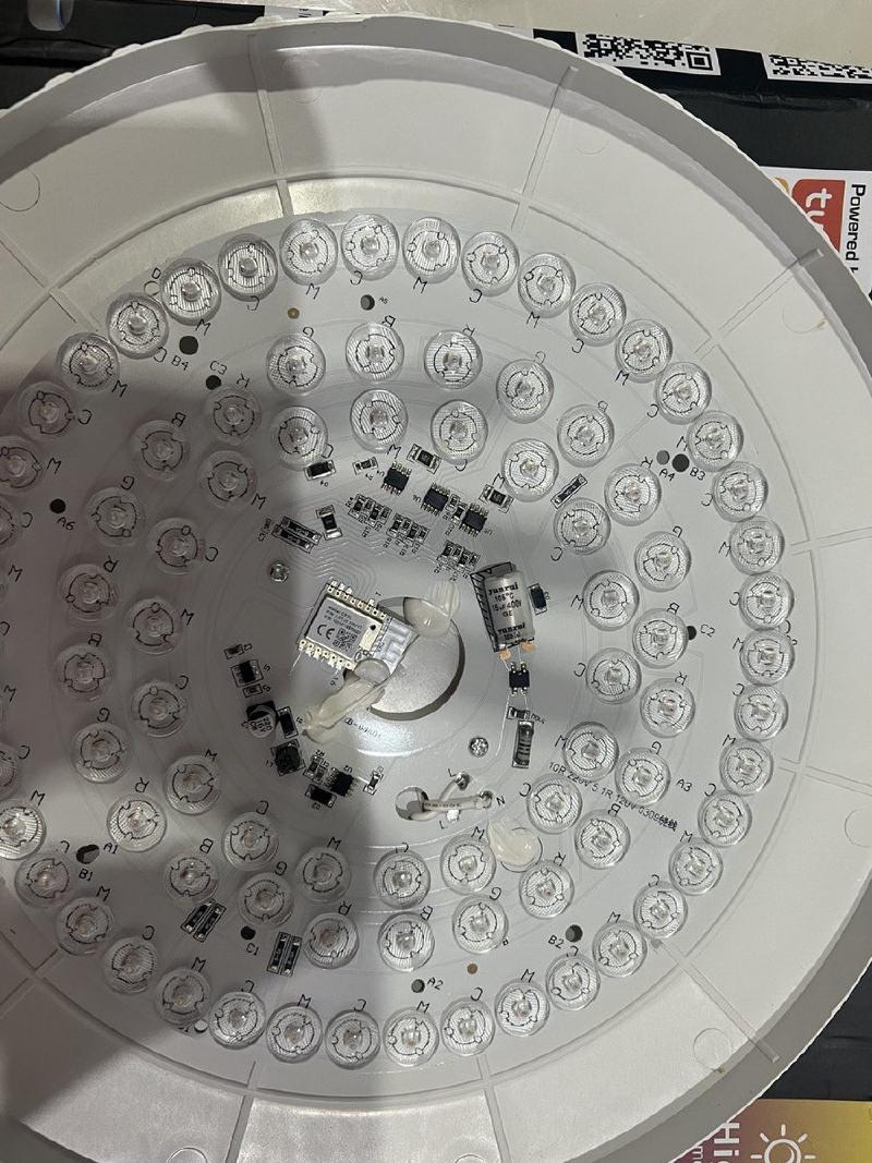 Tuya Ceiling Light RCBCW - LED_plate.jpg